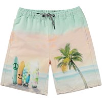 Nilson Board Shorts