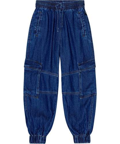 Aliki Blue Vintage Woven Pants