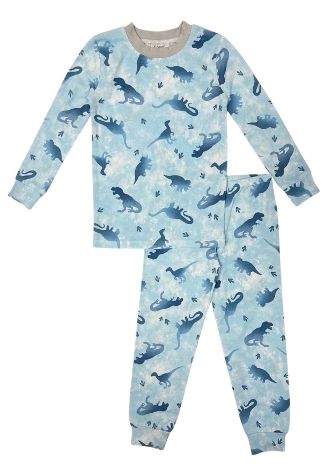 Ombre Dinos LS Pajamas